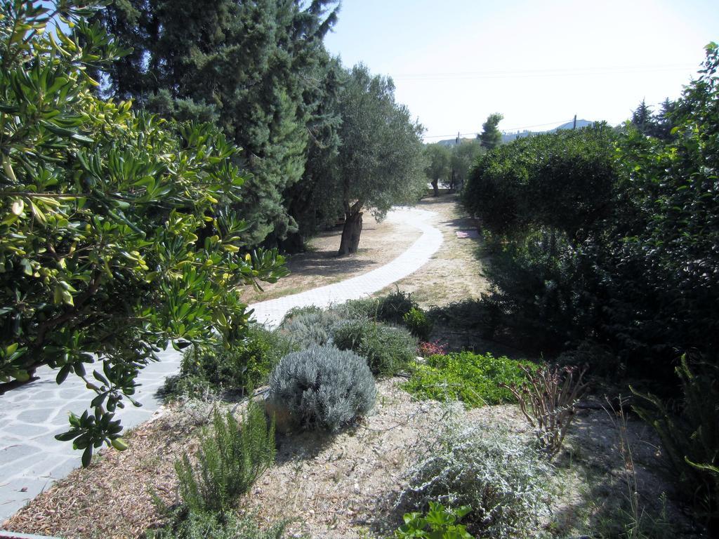 Neria Summer Houses Chaniotis Exterior foto